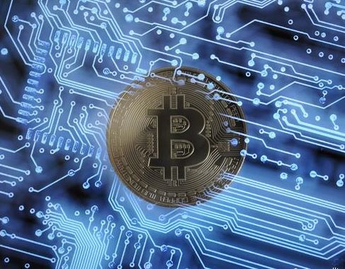 探访比特币东北人的秘密世界